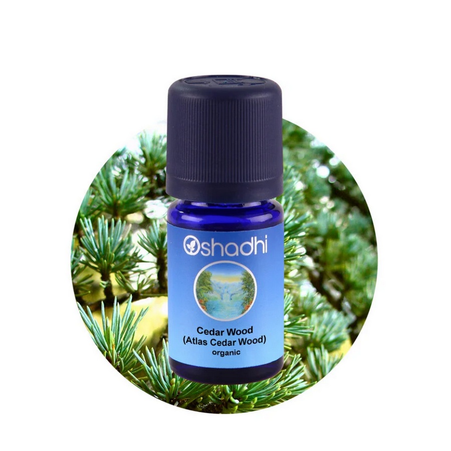 Atlasceder EO (hout) wild-gegroeid BIO